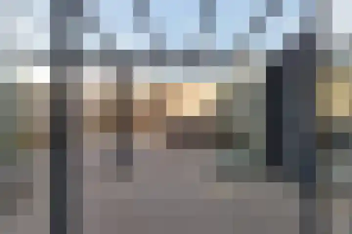 Karper 23 Schagen thumbnail 36