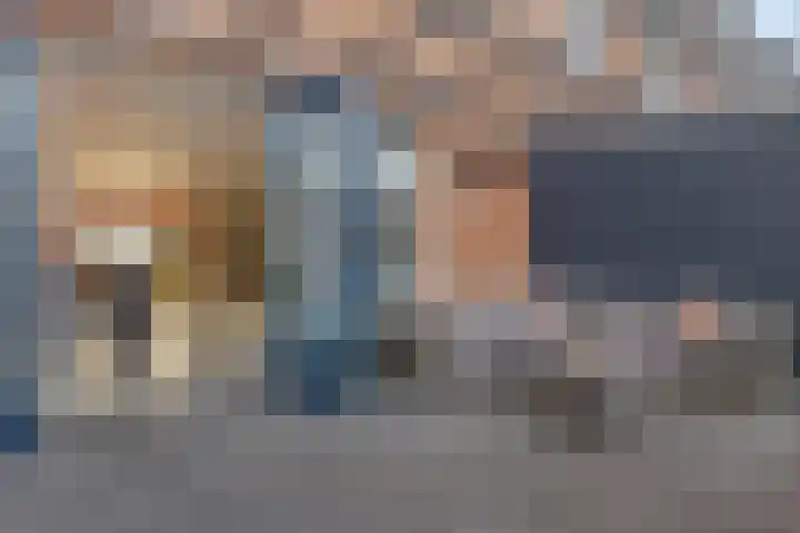 Karper 23 Schagen thumbnail 37