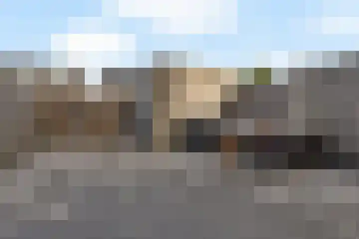 Karper 23 Schagen thumbnail 39