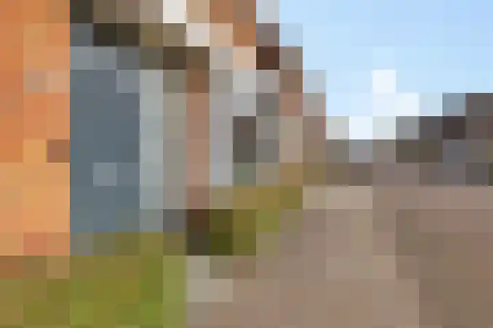 Karper 23 Schagen thumbnail 4