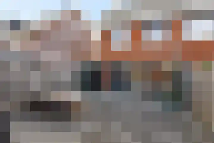 Karper 23 Schagen thumbnail 40