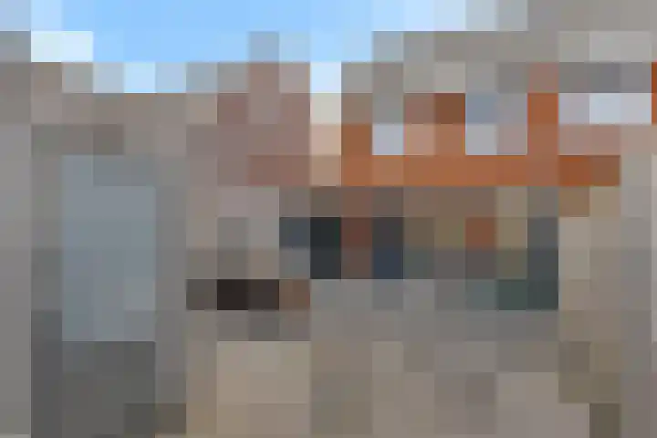 Karper 23 Schagen thumbnail 42