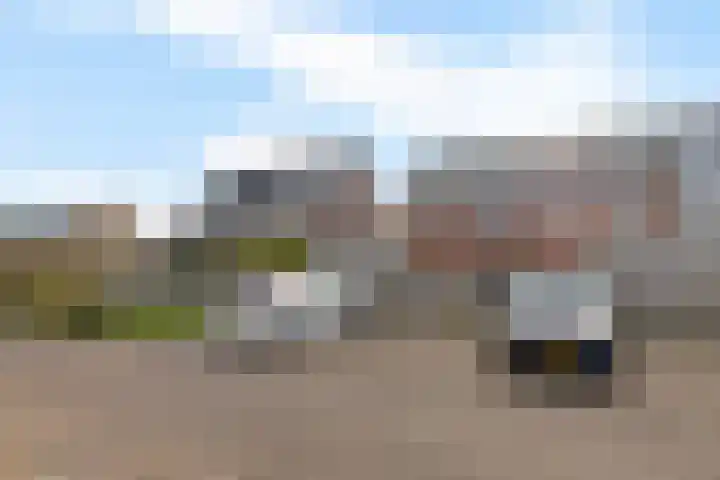 Karper 23 Schagen thumbnail 44