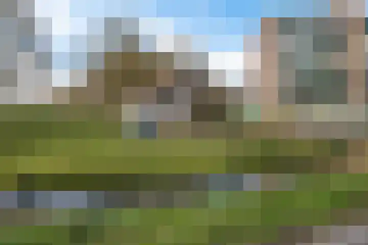 Karper 23 Schagen thumbnail 45