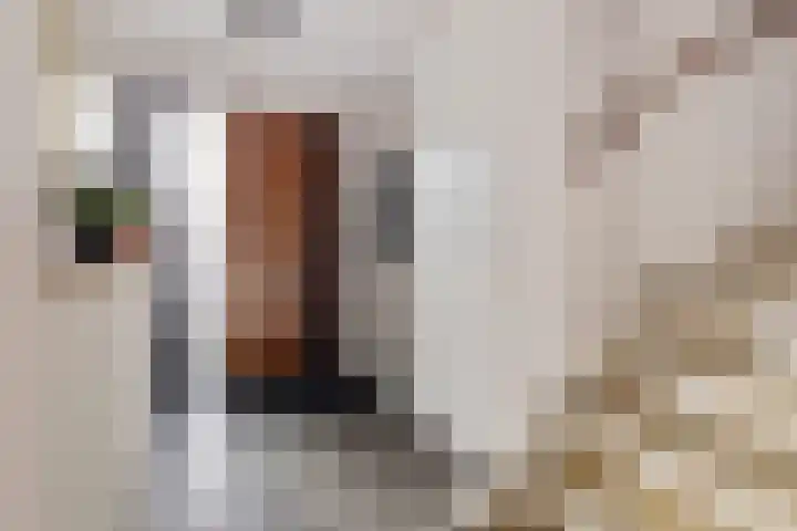 Karper 23 Schagen thumbnail 5