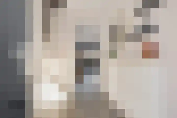 Karper 23 Schagen thumbnail 7