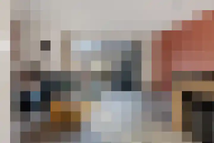 Karper 23 Schagen thumbnail 9