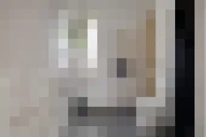 Karper 35 Schagen thumbnail 22