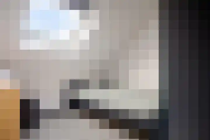 Karper 35 Schagen thumbnail 32
