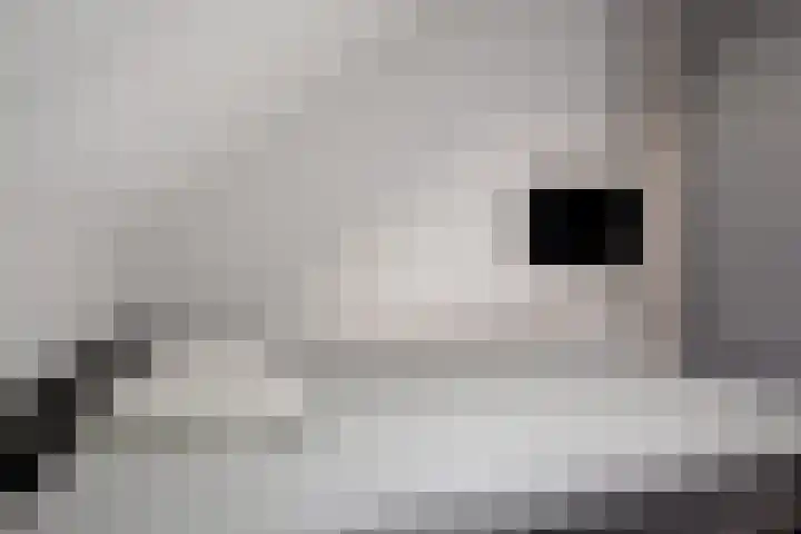 Karper 35 Schagen thumbnail 33