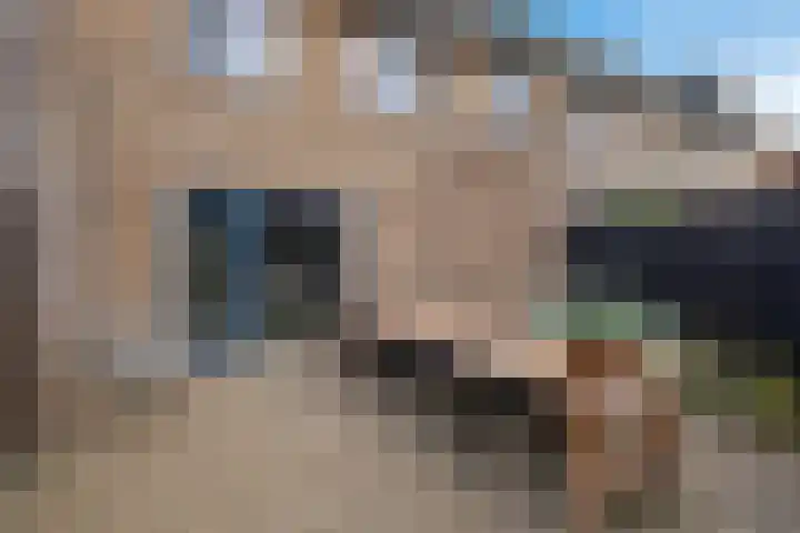 Karper 35 Schagen thumbnail 35