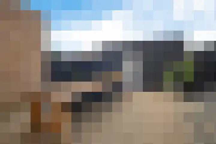 Karper 35 Schagen thumbnail 38