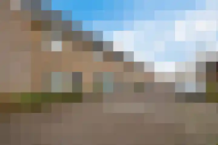 Karper 35 Schagen thumbnail 4
