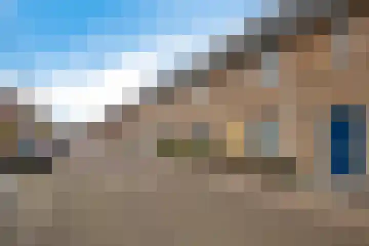 Karper 35 Schagen thumbnail 5