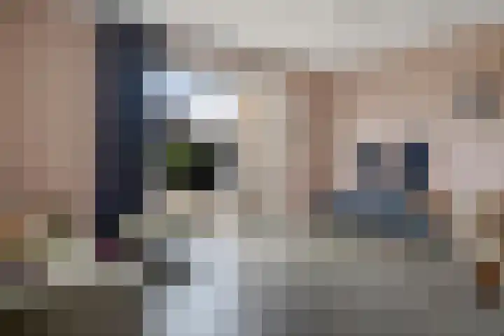 Karper 35 Schagen thumbnail 8