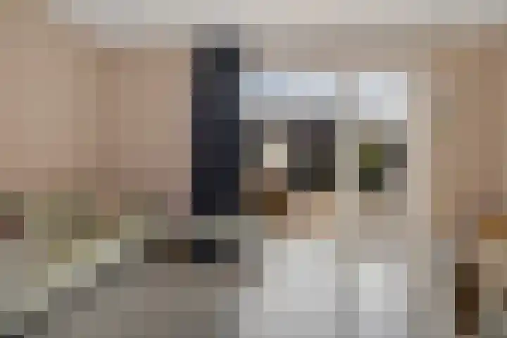 Karper 35 Schagen thumbnail 9