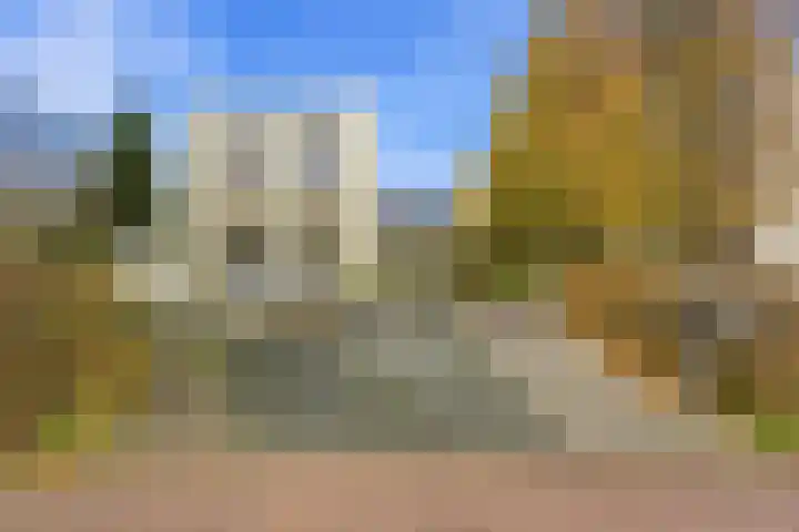 Karper 4 Alblasserdam