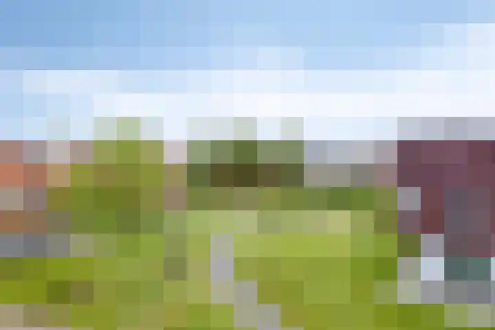 Karper 56 Amersfoort thumbnail 26
