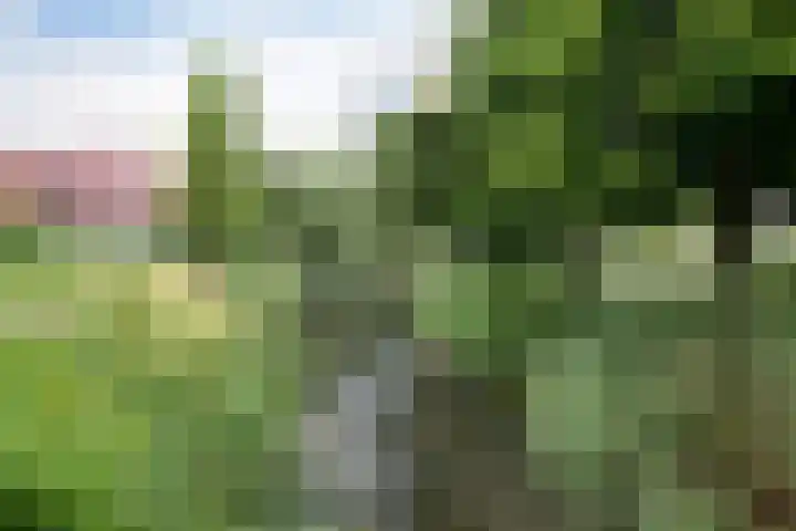 Karper 56 Amersfoort thumbnail 33