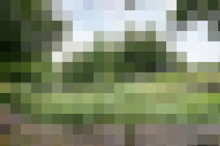 Karper 56 Amersfoort thumbnail 34