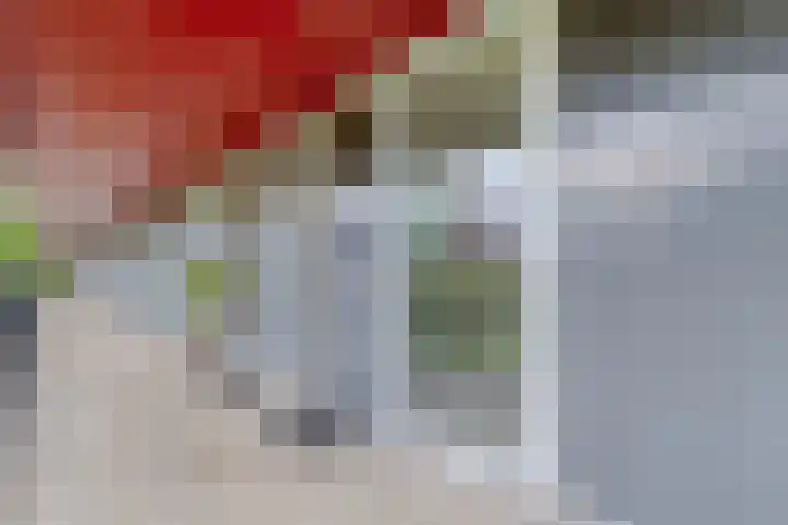 Karper 56 Amersfoort thumbnail 5