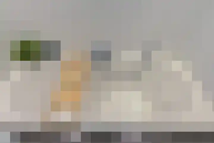 Karper 89 Amersfoort thumbnail 35