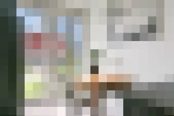 Karper 98 Amersfoort thumbnail 13