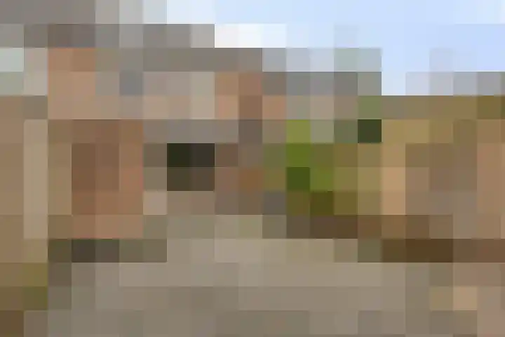 Karperborch 23 Rosmalen thumbnail 29