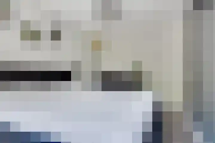 Karperborch 25 Rosmalen thumbnail 13