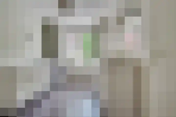 Karperborch 25 Rosmalen thumbnail 14
