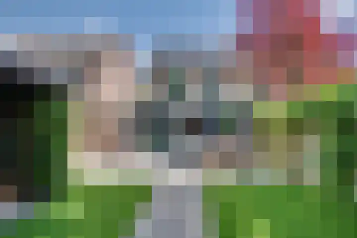 Karperborch 25 Rosmalen thumbnail 22