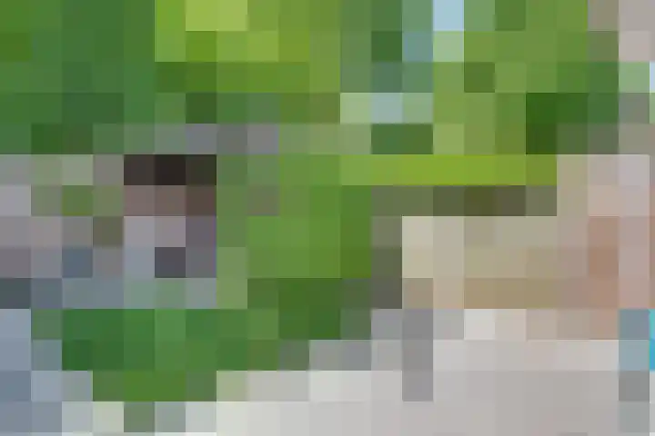 Karperborch 25 Rosmalen thumbnail 23
