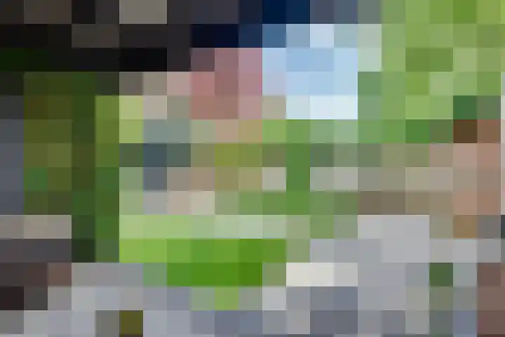 Karperborch 25 Rosmalen thumbnail 25