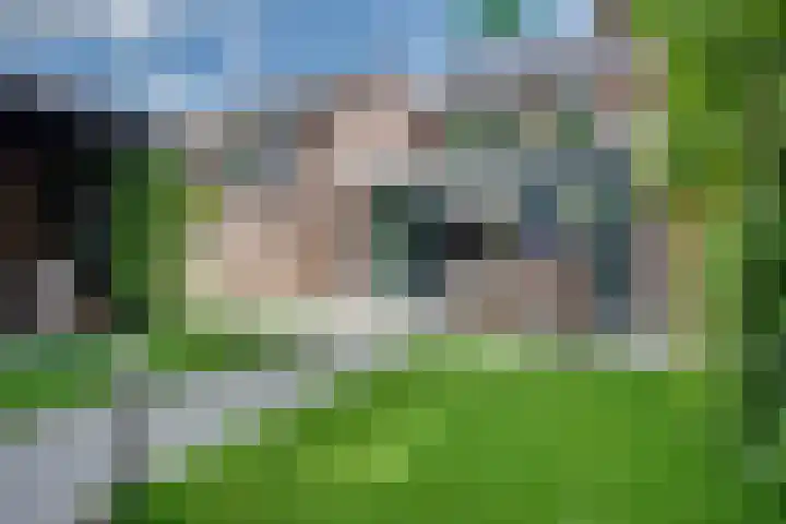 Karperborch 25 Rosmalen thumbnail 26