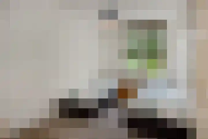 Karperborch 31 Rosmalen thumbnail 19