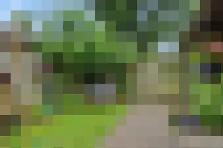 Karperborch 31 Rosmalen thumbnail 26