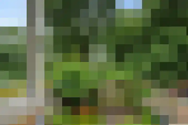 Karperborch 31 Rosmalen thumbnail 29