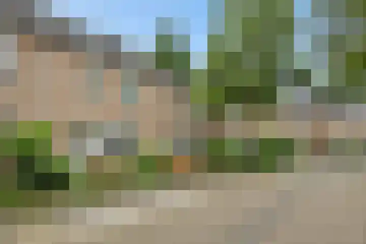 Karperborch 31 Rosmalen thumbnail 5