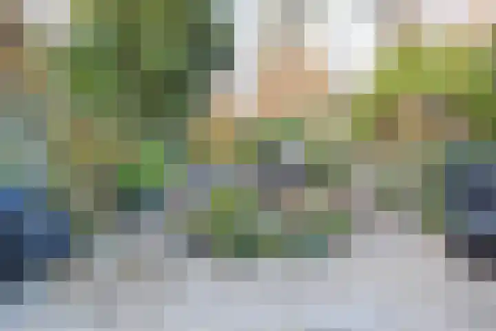 Karperdaal 83 Den Haag thumbnail 16