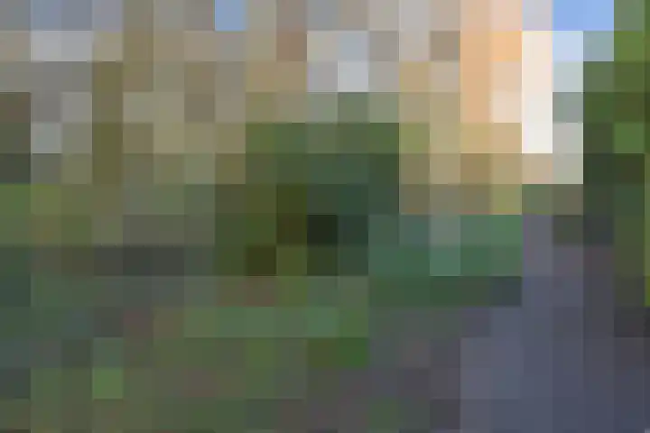 Karperdaal 83 Den Haag thumbnail 19