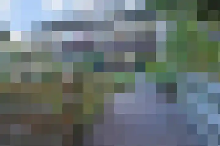 Karperdaal 83 Den Haag thumbnail 21