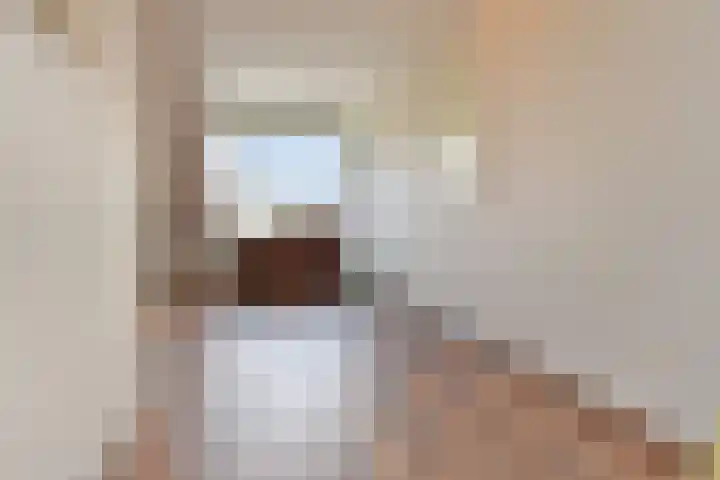 Karperdaal 83 Den Haag thumbnail 36