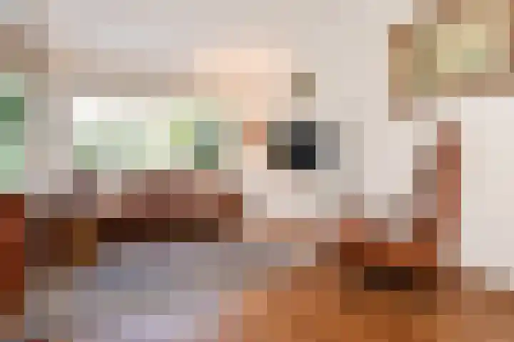 Karperdaal 83 Den Haag thumbnail 6