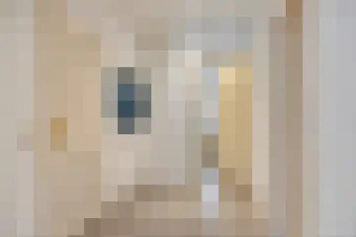 Karperlaan 10 Hedel thumbnail 20