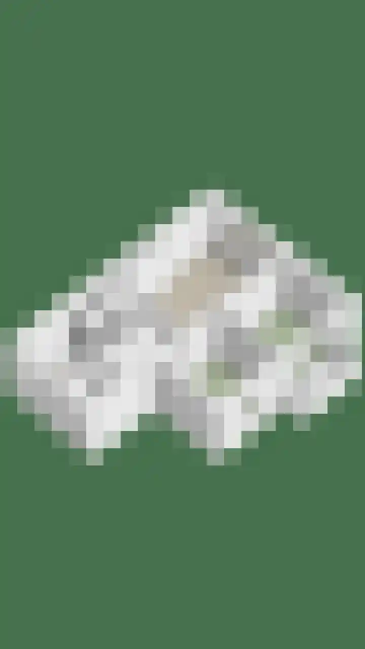 Karperlaan 10 Hedel thumbnail 34