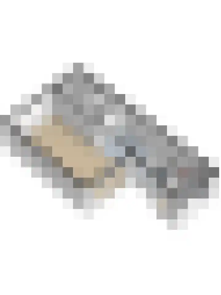 Karperlaan 10 Hedel thumbnail 47