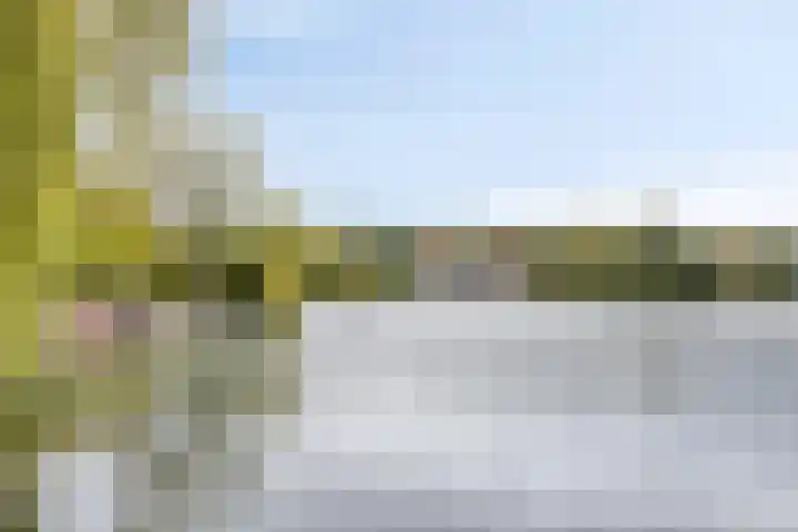 Karperlaan 10 Hedel thumbnail 48
