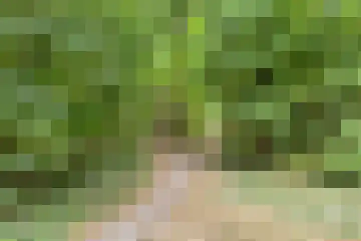 Karperlaan 10 Hedel thumbnail 50