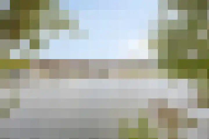 Karperlaan 10 Hedel thumbnail 51