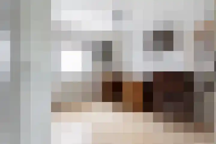 Karperlaan 10 Hedel thumbnail 6